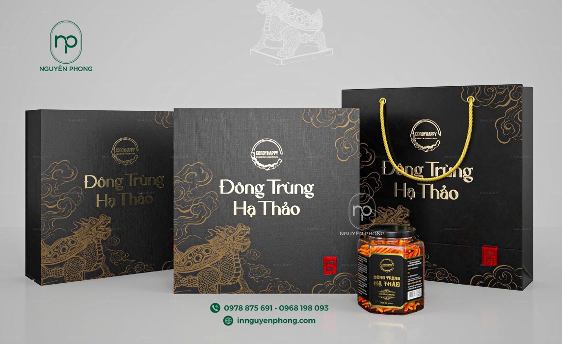 Mẫu túi giấy đựng nấm đông trùng 